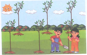 Chiều nay, hai chị em An và Bình giúp bố trồng 6 cây ổi. Hai chị em mất 5 phút để trồng xong một cây ổi. (ảnh 1)