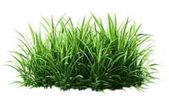 Tô màu vào chữ đúng với hình: (ảnh 2)