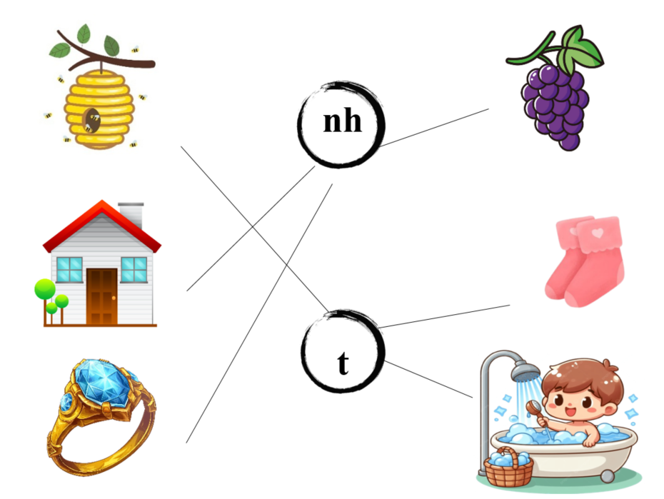 Nối đúng: nh t (ảnh 2)