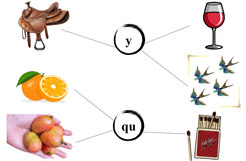 Nối đúng: y  qu (ảnh 2)