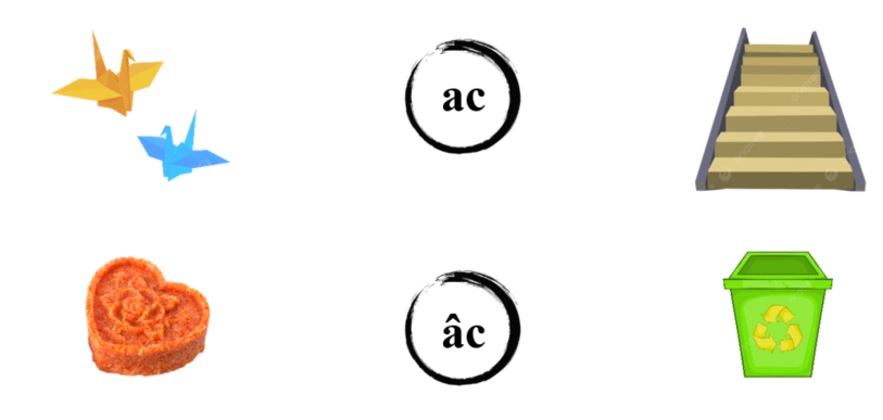 Nối đúng: hình sau (ảnh 1)