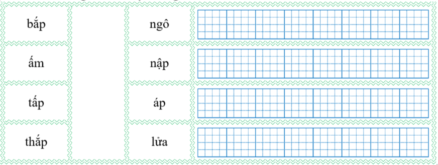 Nối đúng rồi viết lại từ ngữ: (ảnh 1)