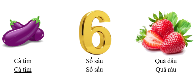 Gạch chân dưới từ phù hợp với hình minh họa: (ảnh 2)