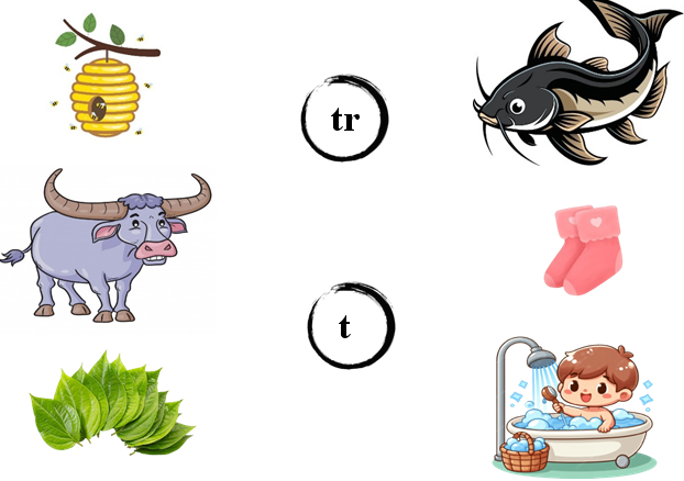 Nối đúng: tr t (ảnh 1)
