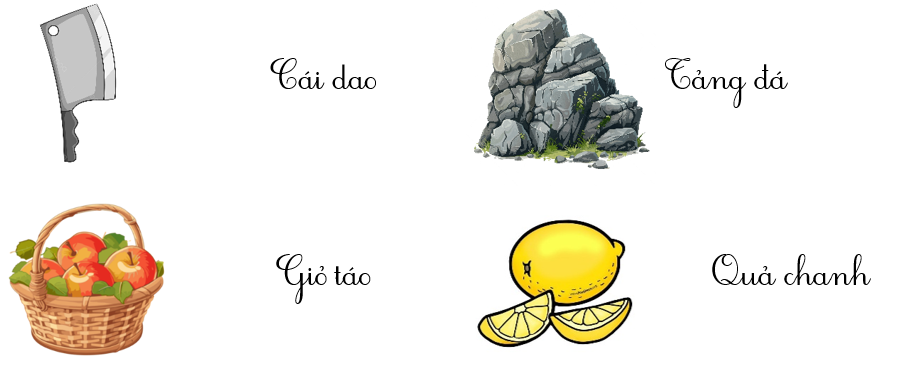 Em hãy tìm các từ phù hợp để gọi tên các hình sau: (ảnh 2)