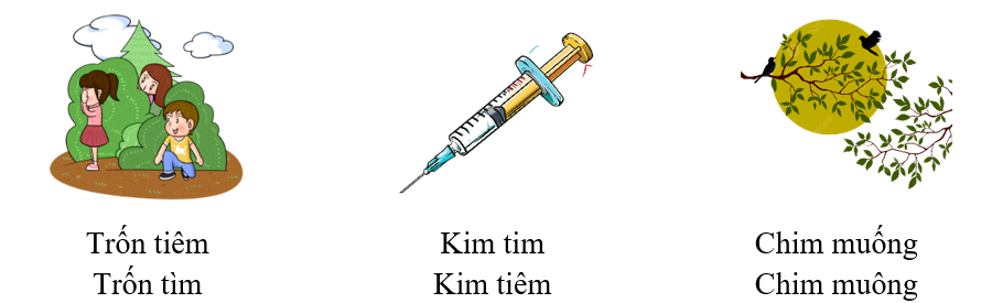 Gạch chân dưới từ phù hợp với hình minh họa: (ảnh 1)