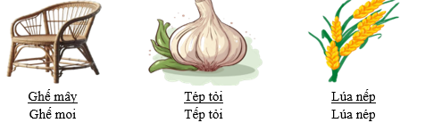 Gạch chân dưới từ phù hợp với hình minh họa: (ảnh 2)