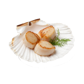 Đây là gì?  (ảnh 1)