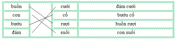 Nối đúng rồi viết lại từ ngữ: (ảnh 1)