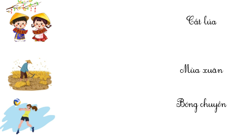 Nối đúng hình với từ ngữ (ảnh 1)