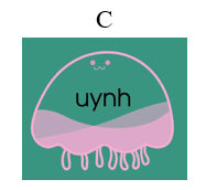 Từ “chim oanh” chứa vần nào? (ảnh 3)