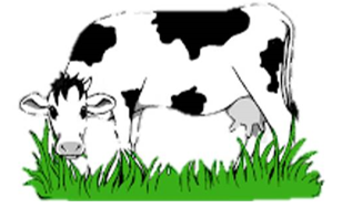 Chọn từ đúng với hành động của bò. (ảnh 1)