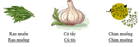 Gạch chân dưới từ phù hợp với hình minh họa: (ảnh 2)