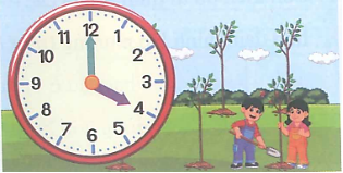 Chiều nay, hai chị em An và Bình giúp bố trồng 6 cây ổi. Hai chị em mất 5 phút để trồng xong một cây ổi. (ảnh 2)