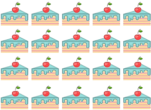 Khoanh tròn vào 1/4 số bánh có trong hình (ảnh 1)