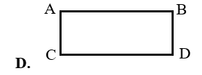Hình nào dưới đây là đường thẳng? (ảnh 5)