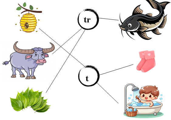 Nối đúng: tr t (ảnh 2)
