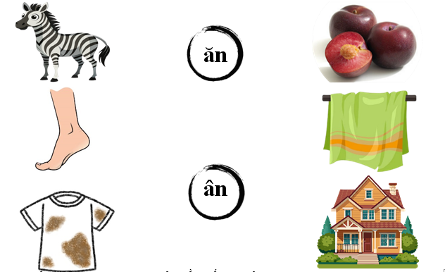 Nối đúng: ăn ân (ảnh 1)