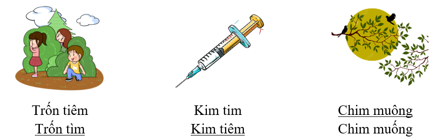 Gạch chân dưới từ phù hợp với hình minh họa: (ảnh 2)