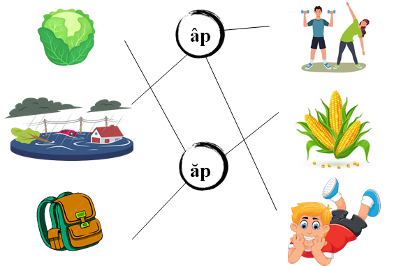 Nối đúng: âp ăp  (ảnh 2)