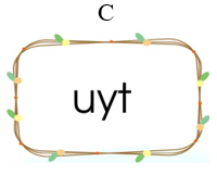 Từ “quýt sim” chứa vần nào trong các vần dưới đây: (ảnh 3)