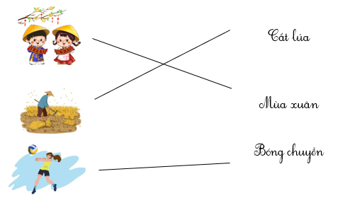 Nối đúng hình với từ ngữ (ảnh 2)