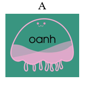 Từ “chim ngã huỵch” chứa vần nào? (ảnh 1)