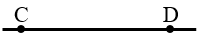Hình nào dưới đây là đường thẳng? (ảnh 1)