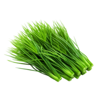 Viết chữ thích hợp vào chỗ trống: (ảnh 2)