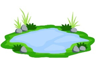 Viết “ô, hồ, tổ, nổ” dưới hình phù hợp: (ảnh 4)