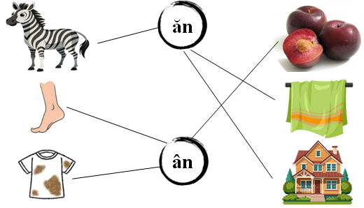 Nối đúng: ăn ân (ảnh 2)