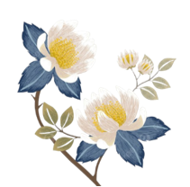 Tìm và ghi lại những từ có vần “uynh” có trong đoạn văn sau: (ảnh 1)