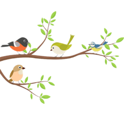 Đọc bài thơ “Bạn của gió” (SGK – trang 12) và trả lời câu hỏi dưới đây:  Điền từ còn thiếu để hoàn thành khổ thơ.  Ai là ….. ? Mà gió đi tìm Bay theo ….. ….. trong tán lá… (ảnh 1)