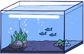 Đồ vật nào dưới đây có dạng khối cầu? (ảnh 2)