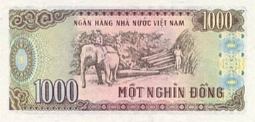 Quan sát hình ảnh của các tờ tiền sau đây (ảnh 8)