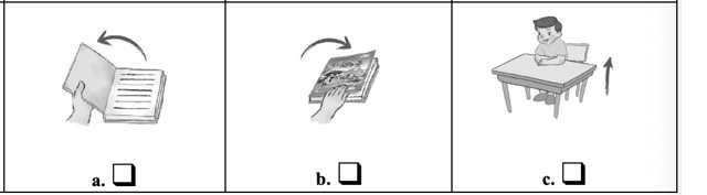 Listen and tick. (ảnh 1)