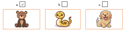 A: What animal does he like? (Anh ấy/Cậu ấy thích con vật nào?) B: He likes bears. (Anh ấy/Cậu ấy thích gấu.) (ảnh 2)