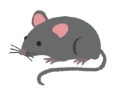 I. Listen and choose A, B or C. (2 points) (ảnh 1)