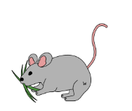 Exercise 1. Look and read. Put a tick (✔) or a cross (⨯) in the box. That’s a mouse. (ảnh 1)