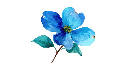 Listen and put a tick () or a cross (×) . There are two examples. (ảnh 1)