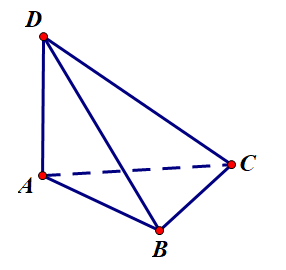 Đ&aacute;p &aacute;n đ&uacute;ng l&agrave;: B (ảnh 1)