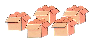 Mẹ mua 5 thùng cam, mỗi thùng có 100 quả cam. Vậy số cam mẹ đã mua là: (0,5 điểm) (ảnh 1)