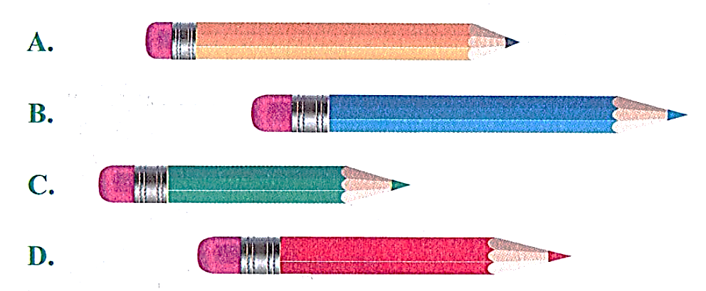 Chiếc bút chì ngắn nhất là (ảnh 1)