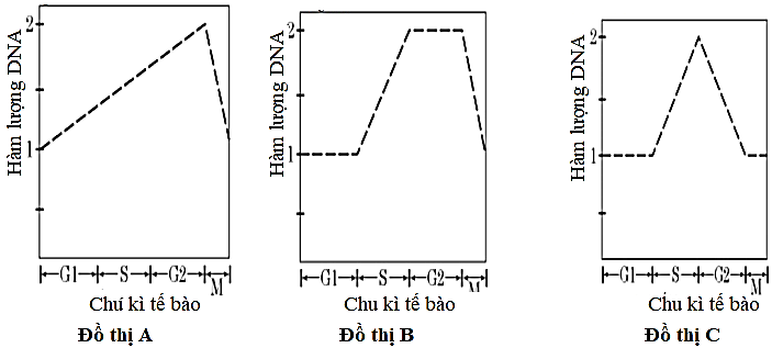 3.2. Đồ thị n&agrave;o trong c&aacute;c đồ thị A&rarr; E dưới đ&acirc;y phản &aacute;nh sự thay đổi h&agrave;m lượng DNA tương đối của b&agrave;o quan ti thể khi một tế b&agrave;o trải qua ph&acirc;n chia nguy&ecirc;n ph&acirc;n? Giải th&iacute;ch. (ảnh 1)