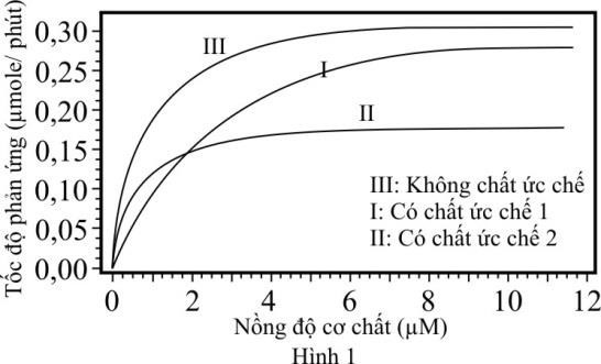 Khi nghiên cứu ảnh hưởng của các chất ức chế khác nhau lên độ hoạt động của một enzyme, người ta xác định tốc độ hình thành sản phẩm tại các nồng độ cơ chất khác nhau trong điều kiện nồng độ enzyme bằng nhau. Kết quả thu được biểu diễn ở Hình 1. (ảnh 1)