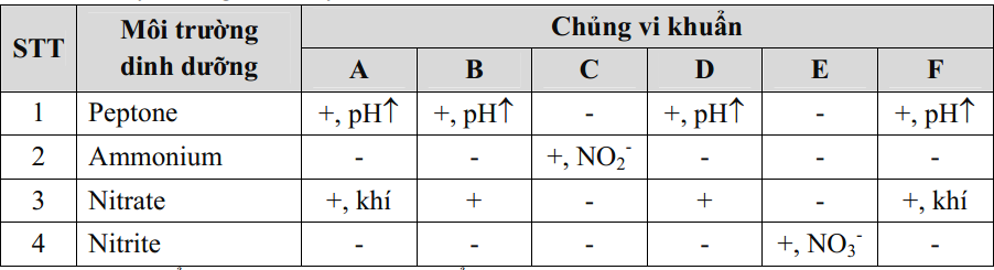 Người ta đã phân lập được sáu mẫu vi khuẩn từ môi trường đất (A-F) để nghiên cứu vai trò của chúng trong chu trình nitơ. Mỗi chủng được nuôi cấy trong bốn loại môi trường dung dịch khác nhau: (1) Nước thịt có bổ sung peptone (polypeptide ngắn) (ảnh 1)