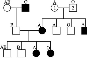 Ở người, bệnh galactosemia là do một trong hai allele D hoặc d quy định. Gene quy định nhóm máu là gene I có 3 allele, tương quan trội lặn như sau: IA = IB > Io. Biết rằng trong quần thể người có tối đa 21 kiểu gene quy định cho hai tính trạng này. (ảnh 1)