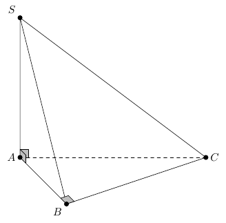 Đ&aacute;p &aacute;n đ&uacute;ng l&agrave;: A (ảnh 1)