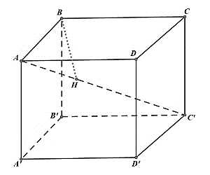 Đ&aacute;p &aacute;n đ&uacute;ng l&agrave;: C (ảnh 1)