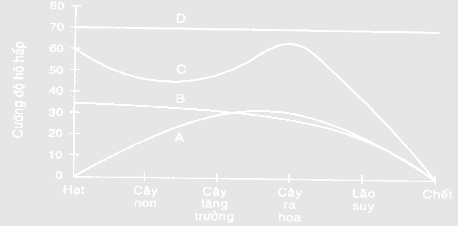 Biểu đồ d&not;ưới đ&acirc;y biểu diễn qu&aacute; tr&igrave;nh h&ocirc; hấp của một c&acirc;y trong điều kiện b&igrave;nh thường. Đường cong n&agrave;o dưới đ&acirc;y biểu thị cho c&aacute;c giai đoạn h&ocirc; hấp trong đời sống của c&acirc;y. Giải th&iacute;ch? Em h&atilde;y cho biết ứng dụng trong việc bảo quản c&aacute;c sản phẩm n&ocirc;ng nghiệp.  (ảnh 1)
